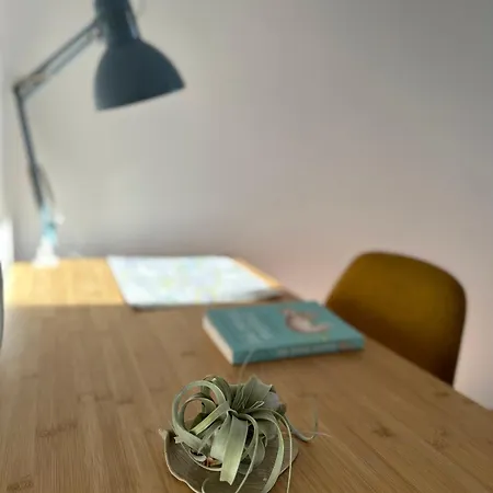 Cilantro Przy Starym Rynku Lejlighed *