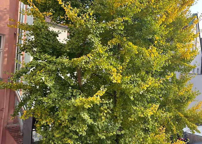 Cilantro Przy Starym Rynku Apartmán