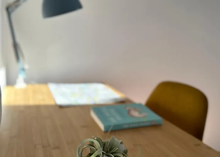 Cilantro Przy Starym Rynku Apartment *